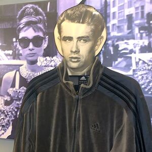 Vintage Velour Jacket Lrg gray/cobalt EUC